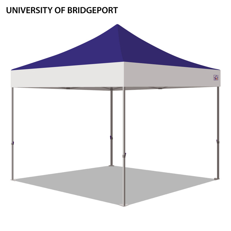 University of Bridgeport Colored 10x10