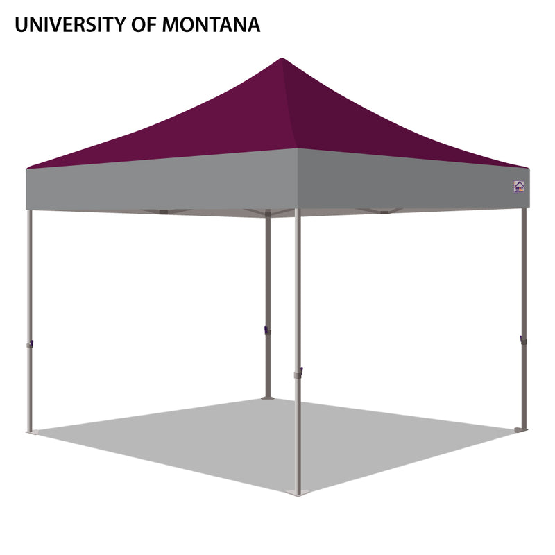 University of Montana Colored 10x10