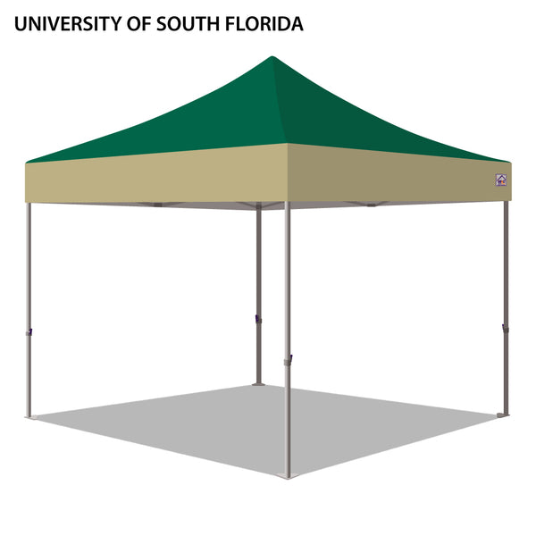 University of South Florida Colored 10x10