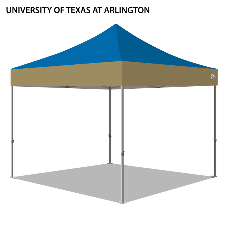 University of Texas at Arlington Colored 10x10