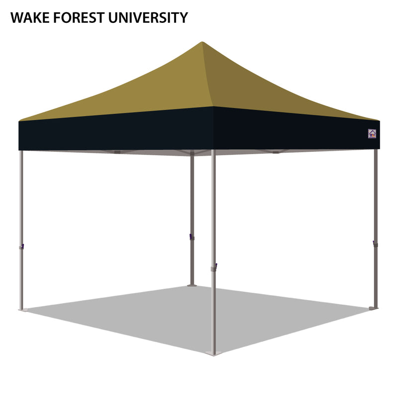 Wake Forest University Colored 10x10
