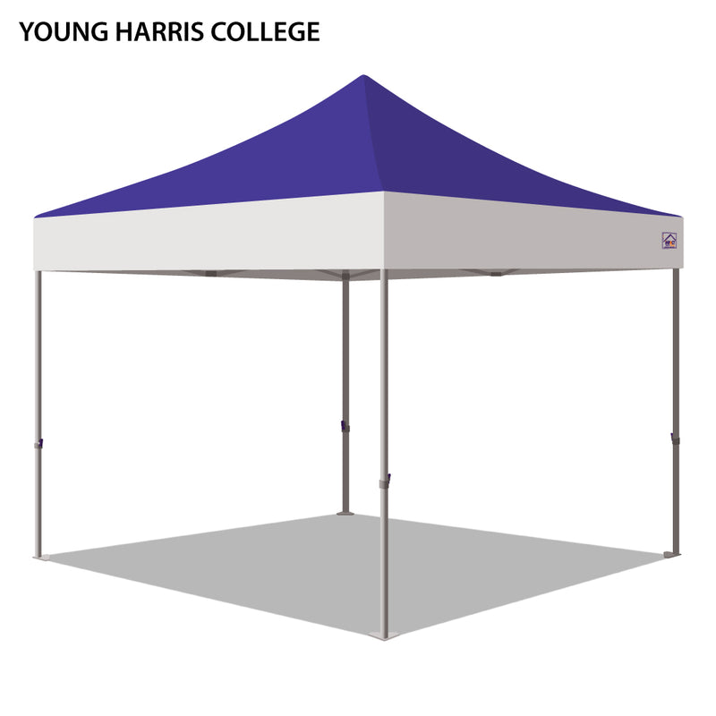 Young Harris College Colored 10x10
