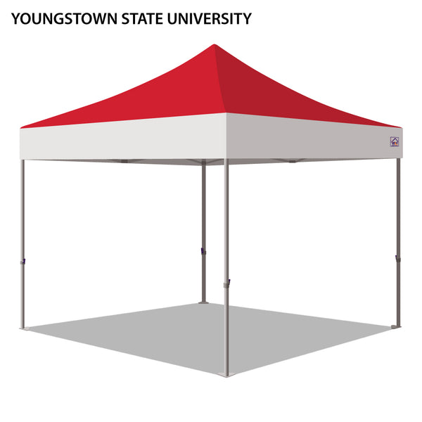 Youngstown State University Colored 10x10